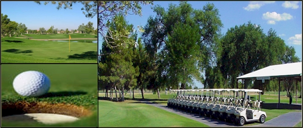Ocotillo Golf Course Where the Pros Play Ocotillo Golf Course Where the Pros Play